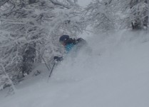 Tree skiing