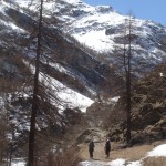 Hiking in
