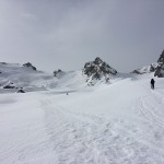 Skinning up