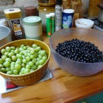 Fruits for Jam