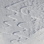 Snow snake tracks
