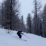 tree skiing