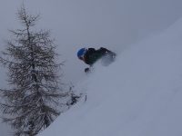 Powder skiing Breezy