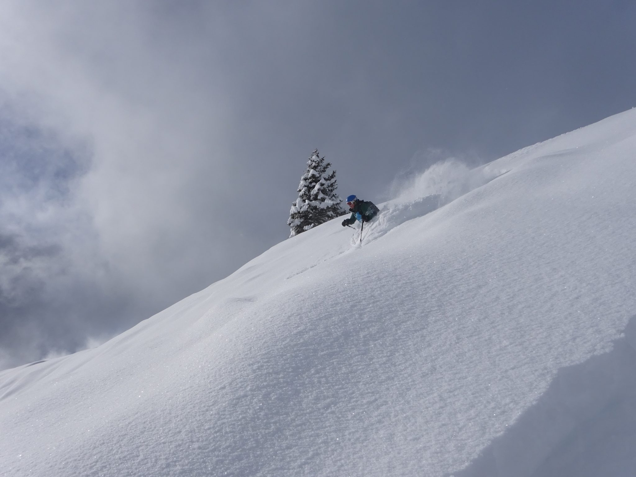 Powder skiing Breezy