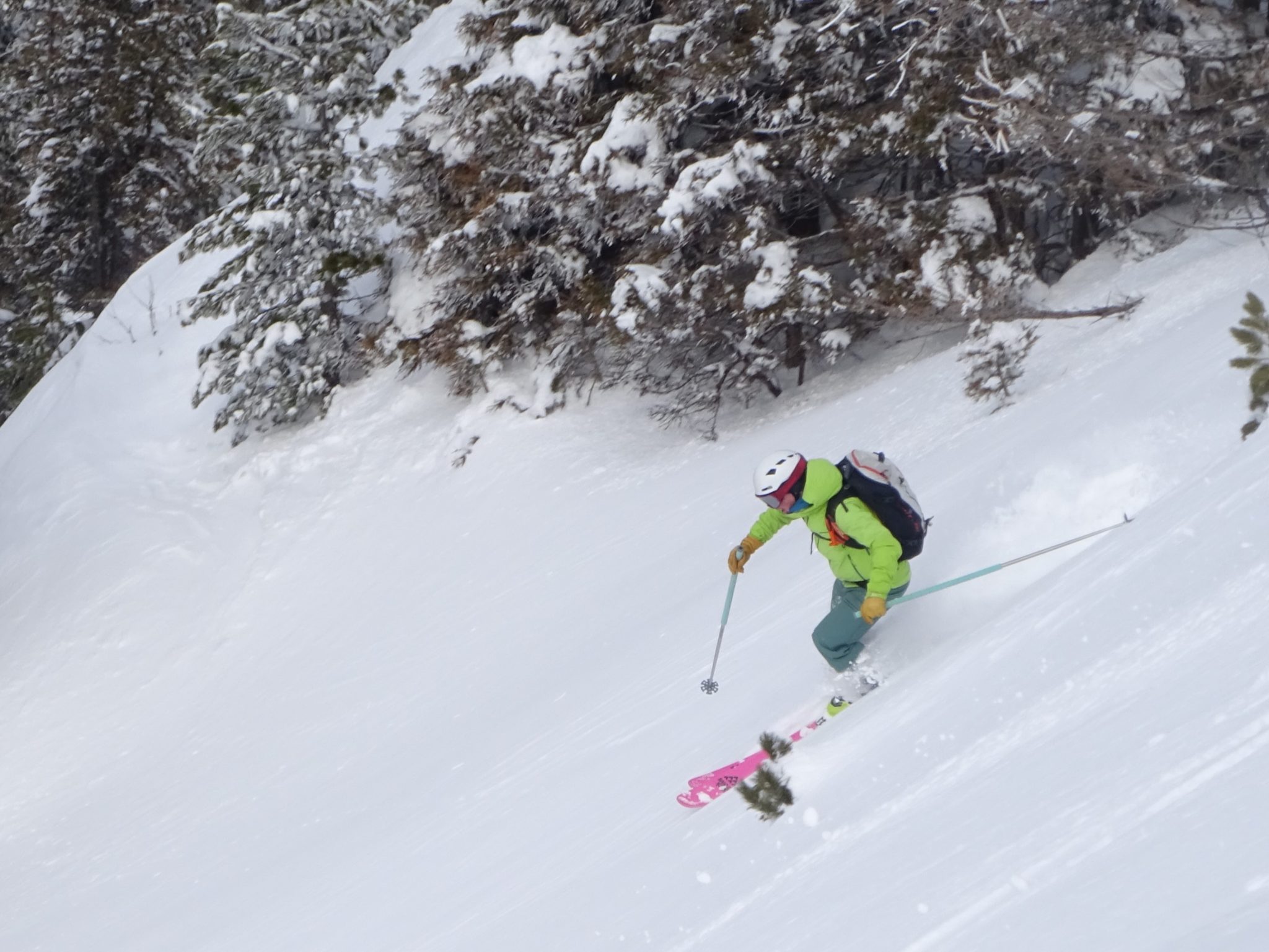 Richard in the trees